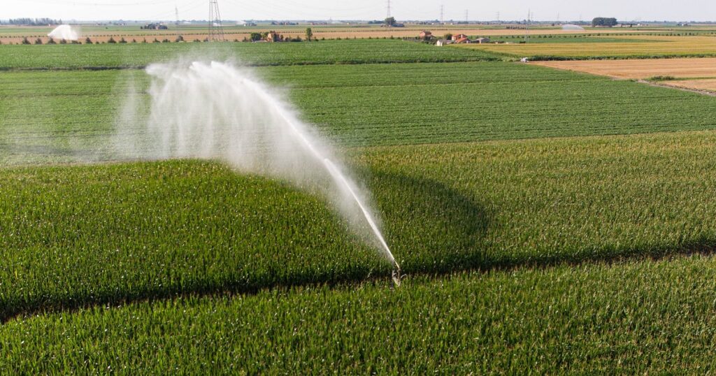 agricultura irrigada facebook 1