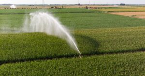agricultura irrigada facebook 1