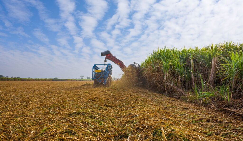 Máquinas agrícolas para Cana 1 Máquinas agrícolas para Cana