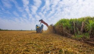 Máquinas agrícolas para Cana