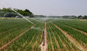 Principais Problemas em Sistemas de Irrigação e Soluções