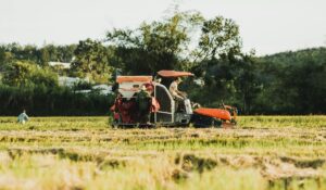 Agricultura Familiar: Como Escolher os Implementos Certos