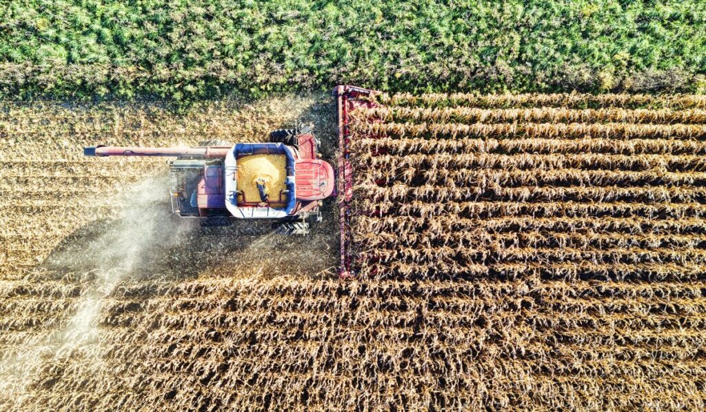 Agricultura de Precisão: Como Transforma a Produtividade