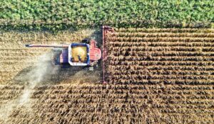Agricultura de Precisão: Como Transforma a Produtividade